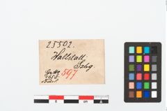 Etikett zu Bronzekahnfibel (NHMW-PRAE-025502)